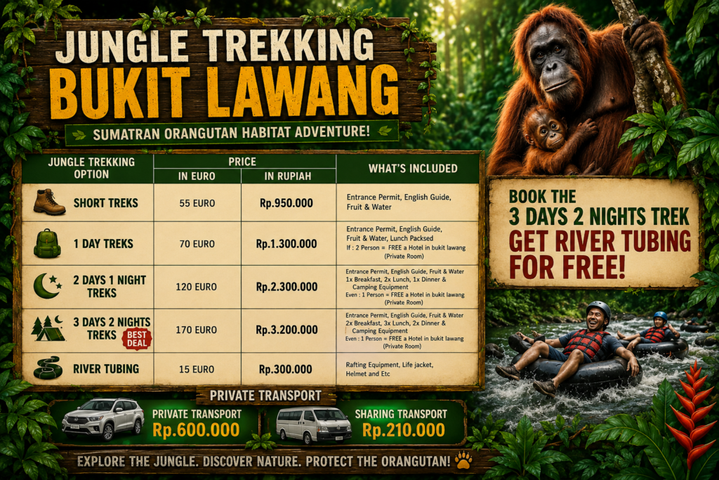 Need a Motorbike to Reach Bukit Lawang?